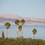 Am Nordufer des Lake Mead