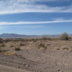 Wüste kurz vor Lake Havasu City