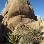 Felsen Nähe Skull Rock