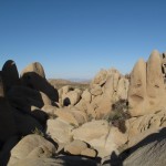 Abendsonne im Joshua Tree Nationalpark