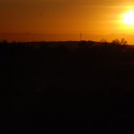 Sunset in Sonoran Desert near Palo Verde