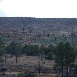 Waldbrandgebiet bei Heber-Overgaard